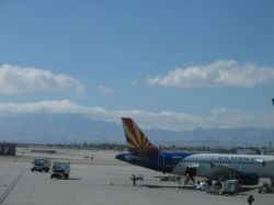 frauen-in-vegas-14
