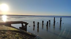 2022-dockkoog_winter