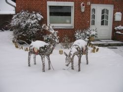 schnee-im-norden