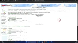 image002-apache-webseite